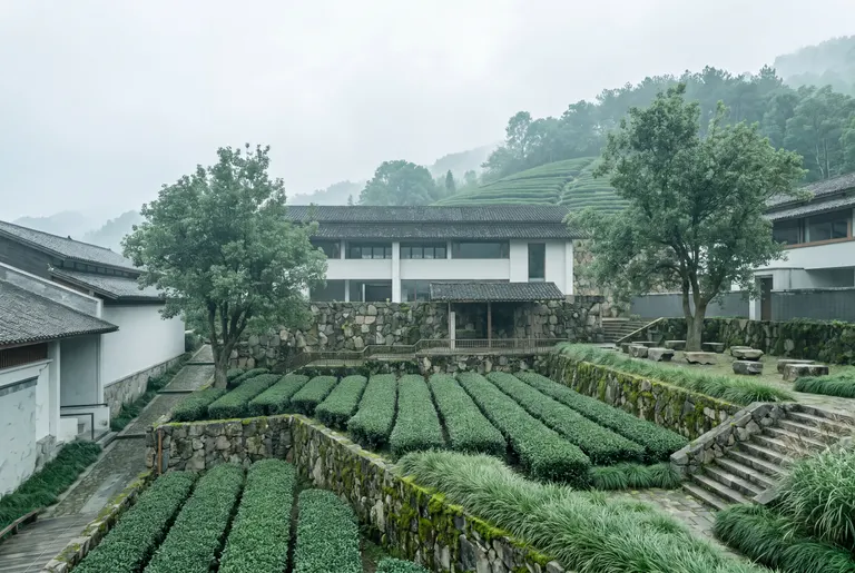 视角和建筑轮廓保持不变，画面前景至中景的内院台地全部恢复为茶园种植——条播茶垄沿等高线层层排布，随毛石挡墙的错台逐级跌落，茶行修剪齐整、叶色翠绿，树下散置天然块